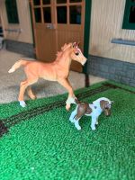 Schleich Fohlen Set Nordrhein-Westfalen - Herten Vorschau