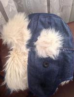 Neue Wintermütze von Jack&Jones - Kopfumfang 60 cm. Sachsen - Görlitz Vorschau