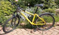 Fahrrad 26 Zoll Centurion backfire 50 Niedersachsen - Hildesheim Vorschau