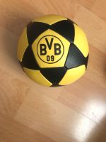 BVB Ball in klein Hessen - Bad Homburg Vorschau