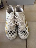 Adidas Predator weis Gr 43 Hallenschuh/ Sportschuh Hessen - Fulda Vorschau