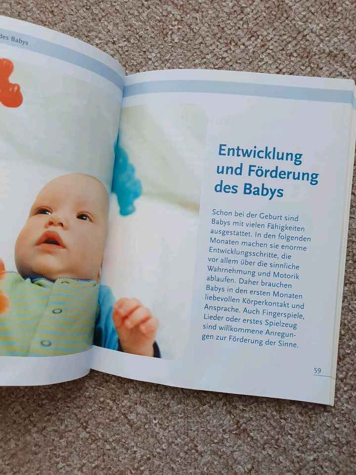 Buch Abenteuer Baby - Eltern-Ratgeber für das erste Lebensjahr in Dresden