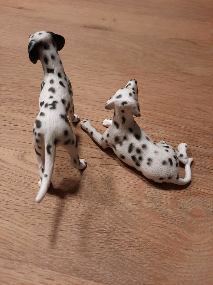 Schleich Hunde Dalmatiner 2Stck Set in Bottrop