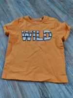 Baby T-Shirt Gr. 74 Niedersachsen - Seggebruch Vorschau