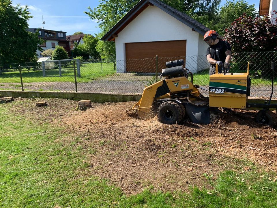 Baumstumpf entfernen, Stubben fräsen, Wurzel fräsen, Baumfällung in Nidderau