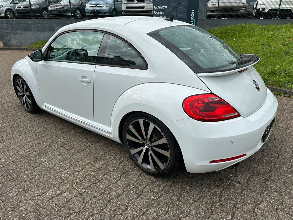 Volkswagen Beetle Sport 2.0 TSI*Automatik*Leder*Scheckheft in Mönchengladbach