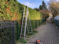 Grünpflege Objektpflege Grundstückspflege Rasen mähen Colditz - Commichau Vorschau