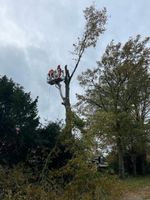 Baumfällung Baumpflege Sturmschadenbeseitigung Niedersachsen - Bunde Vorschau