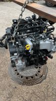 MOTOR DFS 2.0 TDI VW ENGINE KOMPLETT 63tkm Nordrhein-Westfalen - Ratingen Vorschau