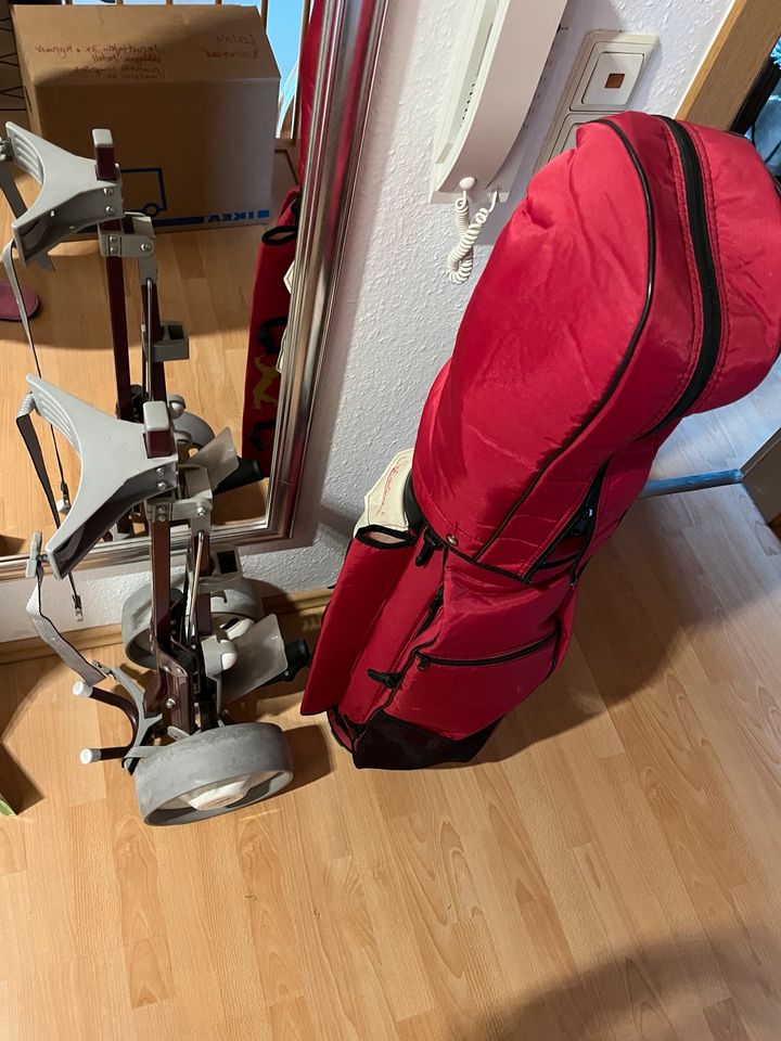 Komplettes Golfbag mit Trolley Damen in Steißlingen