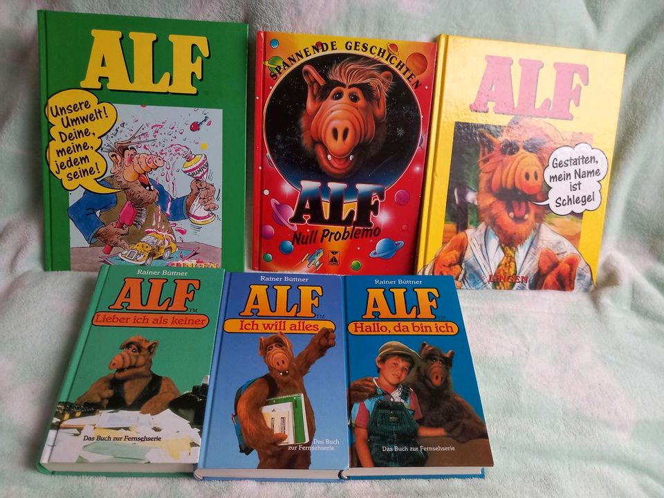 Alf Bücher in Schleswig