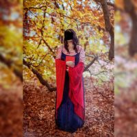 Arwen Cosplay mit Perücke Herr der Ringe Kostüm Niedersachsen - Burgdorf Vorschau