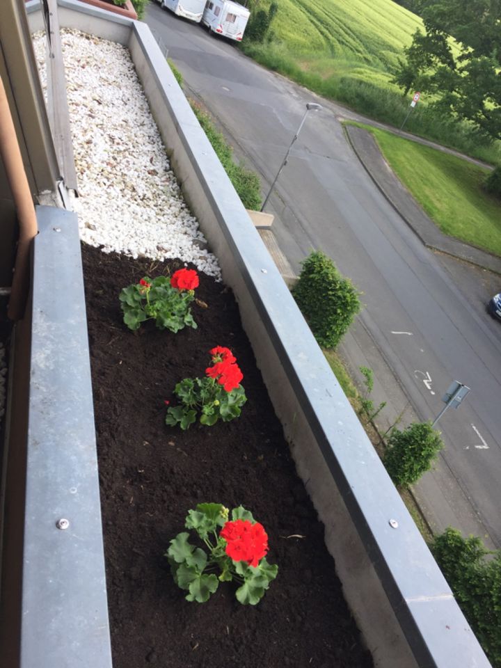 Bezugsfreie, wunderschöne, lichtdurchflutete Apartmentwohnung in Göttingen