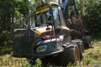 Rückezug / Harvester Fahrer Ponsse Forstmaschinenführer Forstwirt Hessen - Diemelstadt Vorschau