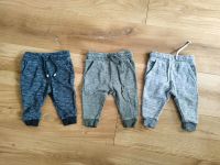 Babyhosen Next 74 6-9 Monate jogginghose Nordrhein-Westfalen - Erkrath Vorschau