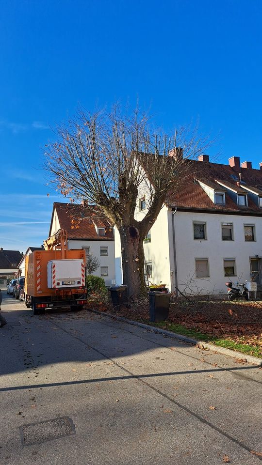 Hausmeisterservice Förtsch in Bad Rodach