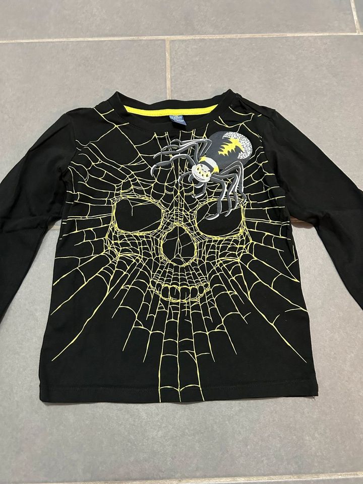 T-Shirt, Pullover Jungen 110 116 122 Spiderman, Jurassic World in Gaildorf