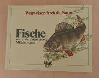 Wegweiser durch die Natur Fische ISBN 3870033142 Hessen - Bad Soden am Taunus Vorschau