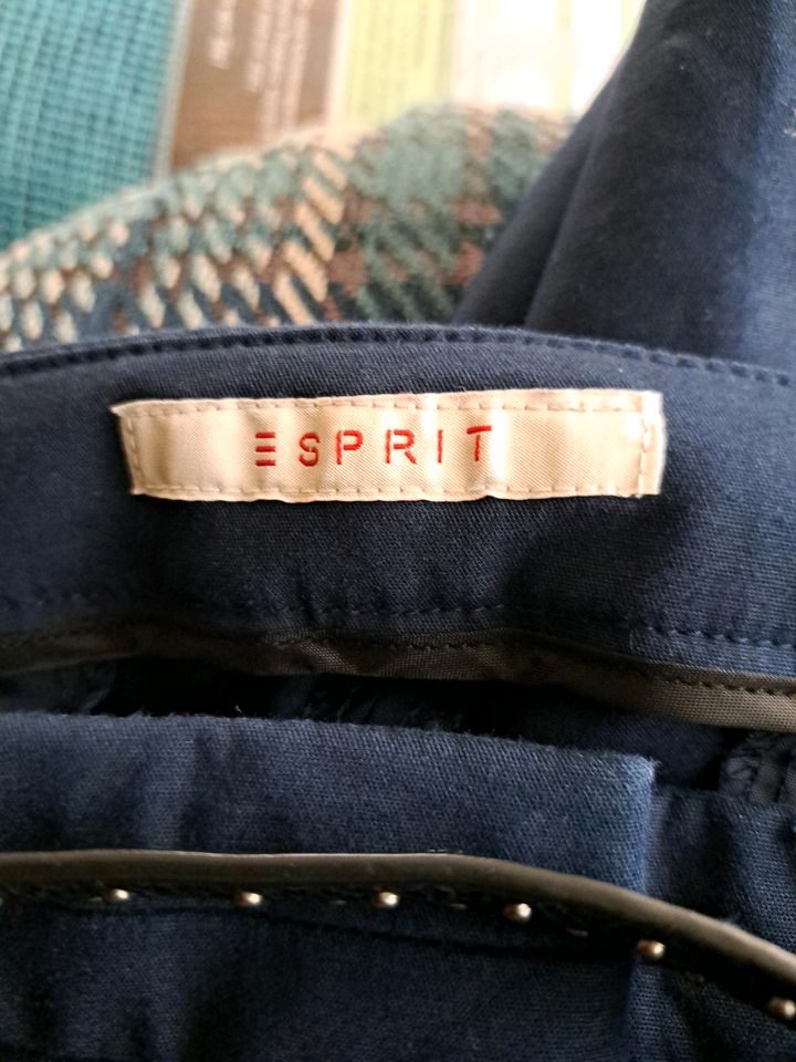 Esprit Hose in Rödental