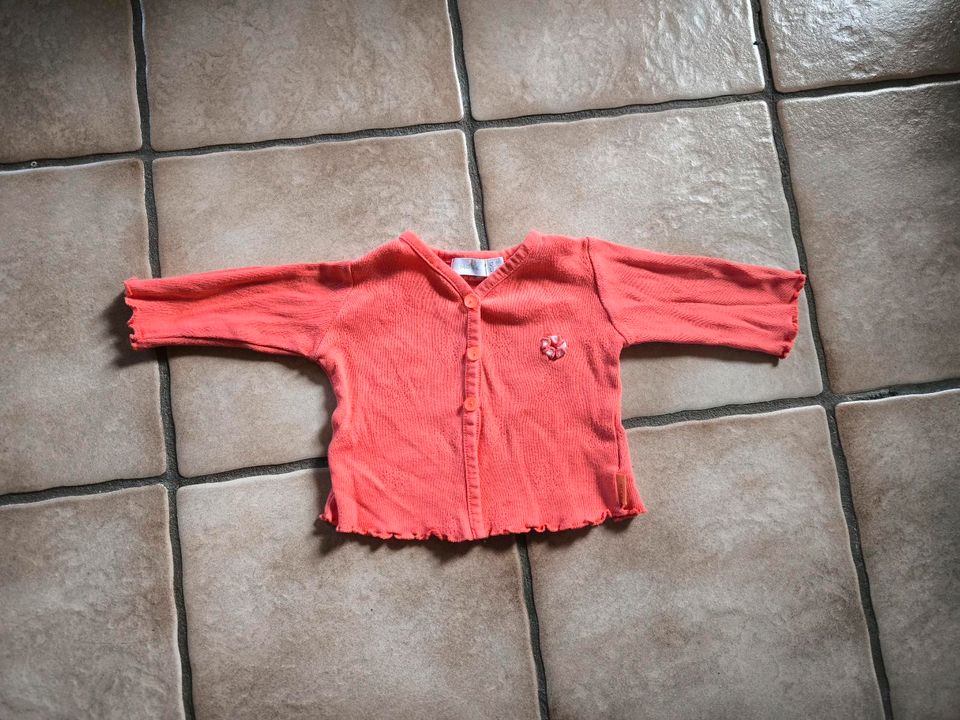 Mexx Baby Jacke, 50, orange, korall in Wachenheim an der Weinstraße