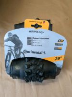 Continental Ruban TLR 29x2,3" neu Niedersachsen - Sachsenhagen Vorschau