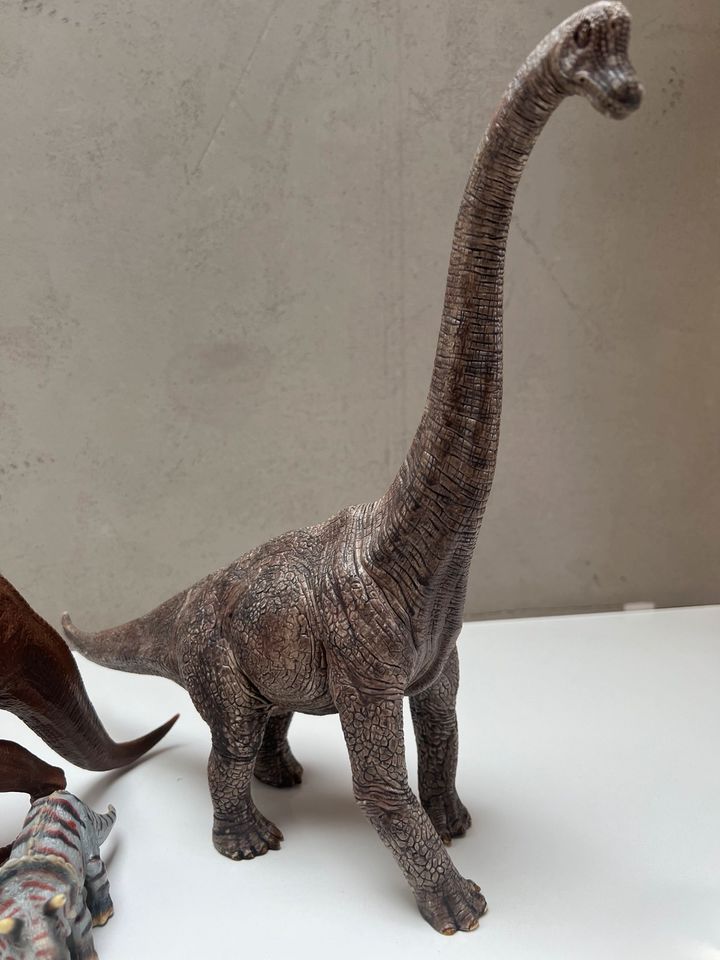Schleich Dinosaurier Set T Rex Brachiosaurus in Hohenroda