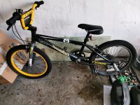 Kinder Fahrrad schwarz gelb Nordrhein-Westfalen - Dülmen Vorschau