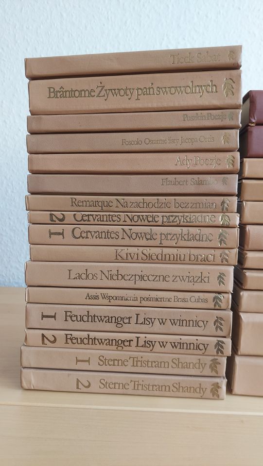 27 Polnische Bücher polnischer und ausländischer Klassiker in Altenberge