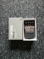 Boss RV 3 Digital Reverb / Delay Nordrhein-Westfalen - Heiligenhaus Vorschau