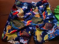 Badehose 110 / 116 dm pusblu bunte Fische Nemo Unterwasserwelt Pankow - Prenzlauer Berg Vorschau