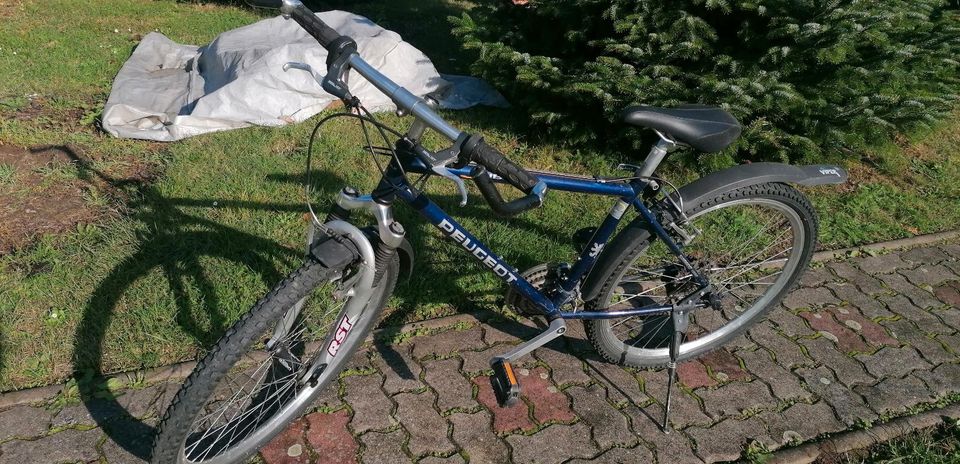 Peugeot Mountainbike leichtes 26" zoll Fahrrad Rad in Herzberg/Elster