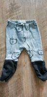 BELLYBUTTON BABY Hose Pumphose Jogginghose GRAU Gr. 50 1. Hand Nordrhein-Westfalen - Rheinbach Vorschau