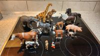 Schleich Tiere Pferd Kuh Dino Zebra Berlin - Wilmersdorf Vorschau