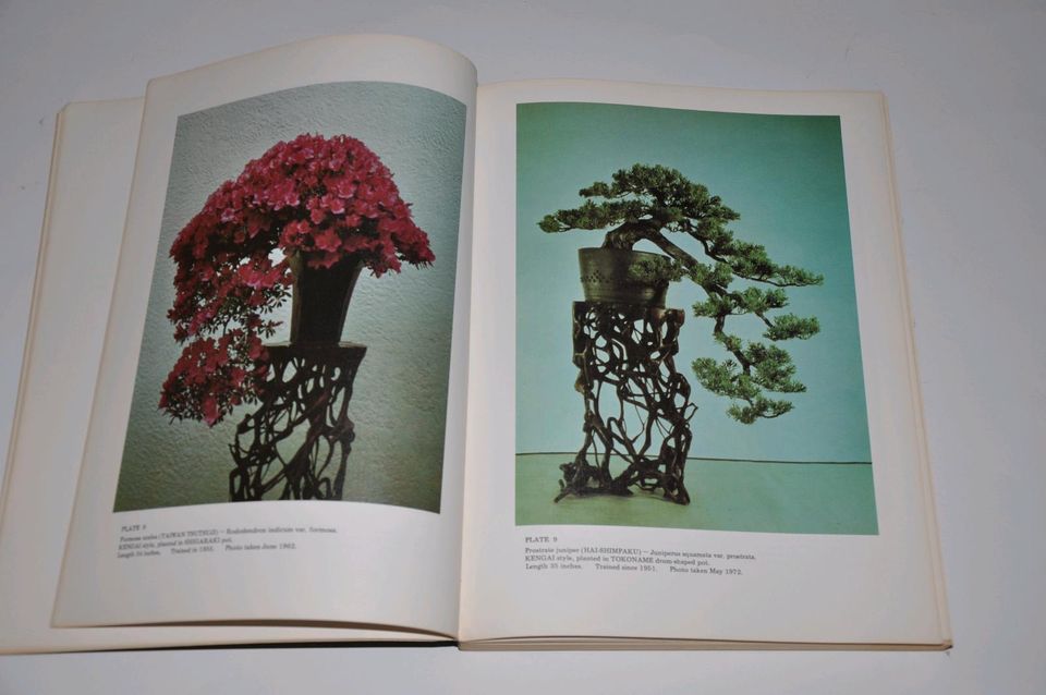 Bonsai Techniques John Yoshio Naka in Sibbesse 