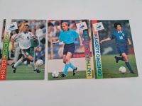 Panini Sammelkarten Fußball WM 98 Frankreich Thüringen - Erfurt Vorschau
