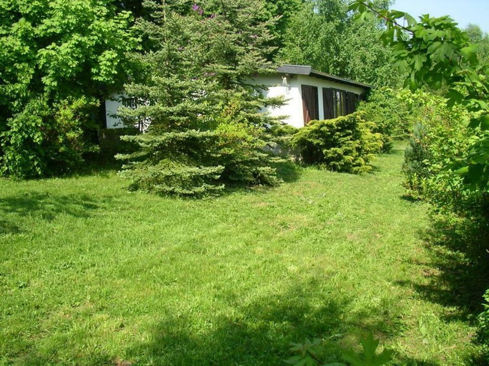 Ferienhaus Harz mitten im Wald 2 Pers. riesen Garten, POOL, Hunde in Sangerhausen