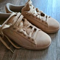 Lauf Schuhe gr 37 NEUE puma Dortmund - Huckarde Vorschau