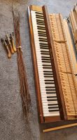 Original Klavier-Tastatur von Belarus Niedersachsen - Osnabrück Vorschau