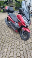 Honda Forza 125 cm3 Rheinland-Pfalz - Ralingen Vorschau