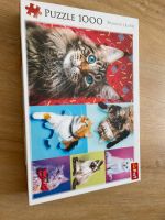 Puzzle Katzen komplett 1000 Teile Bayern - Stammham b. Ingolstadt Vorschau