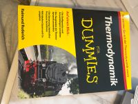 Thermodynamik für Dummies Niedersachsen - Wolfsburg Vorschau