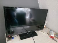 Hisense Fernseher 32 zoll Schleswig-Holstein - Flensburg Vorschau