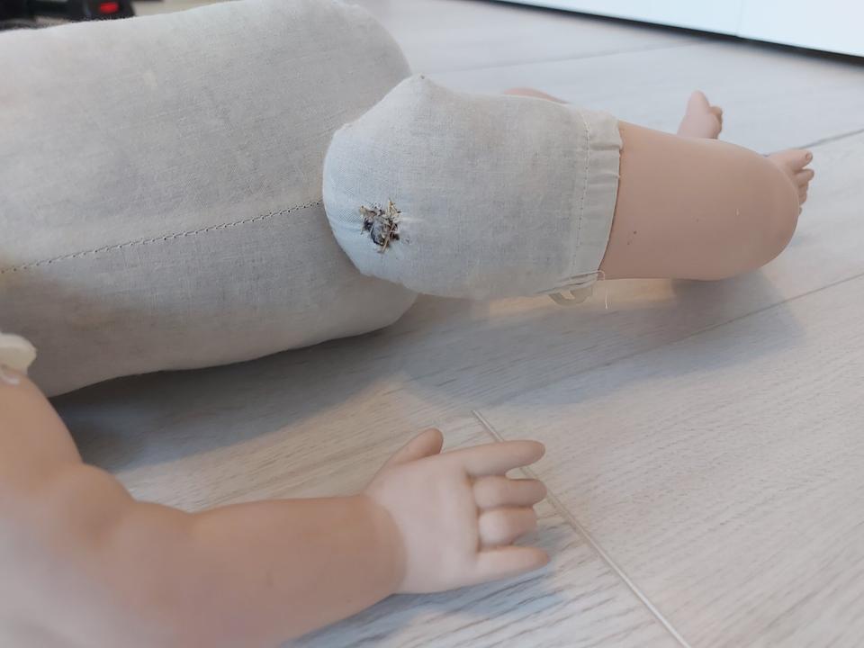 Süße Kylie von Dreams of Pearls Sammlerpuppe Porzellanpuppe in Hünxe