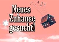 Haus zur Miete Sachsen - Waldheim Vorschau