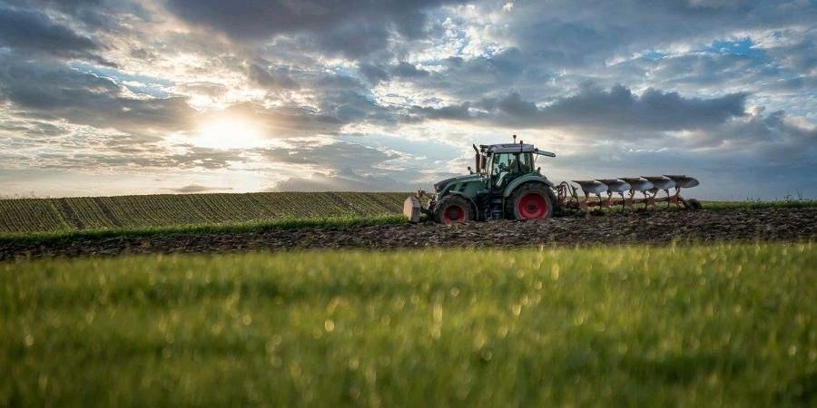 Acker Ackerland Telgte Westbevern Vadrup nähe Greven in Telgte