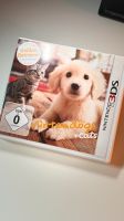 Nintendo 3 DS Spiel Nintendogs Golden Retriever Sachsen - Callenberg b Hohenstein-Ernstthal Vorschau