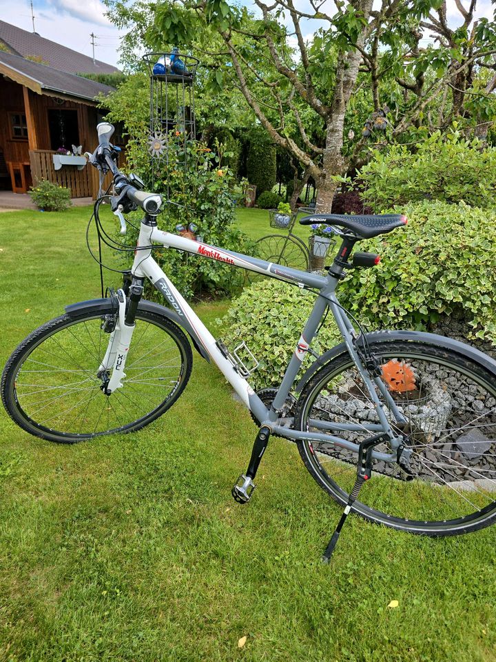 RADON Crossbike Mens Health Sonderedition / 28 Zoll in Wittislingen