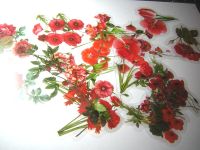 40 Scrapbook Washi Kawaii Aufkleber rote Blüten durchsichtig Retr Brandenburg - Werbellin Vorschau