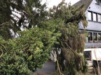 Sturmschadenbeseitigung Sturmschäden Sturmholz Nordrhein-Westfalen - Overath Vorschau