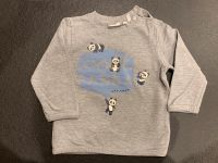 Eat Ants Pullover grau 74 Nordrhein-Westfalen - Lippstadt Vorschau